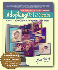 Adopting Online book cover
